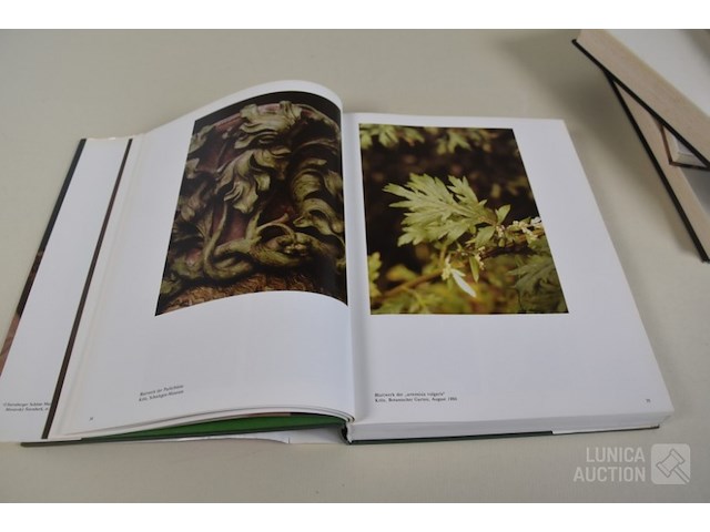 Catalogussen : thema "kunst" - afbeelding 13 van  18