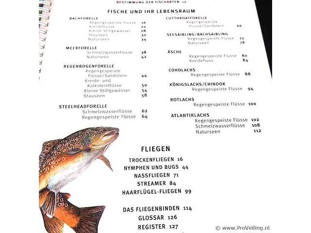 Catch that fish - afbeelding 3 van  5