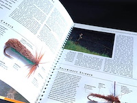 Catch that fish - afbeelding 4 van  5