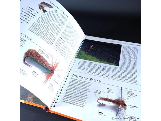 Catch that fish - afbeelding 4 van  5