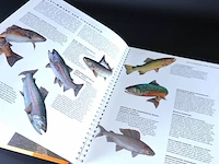 Catch that fish - afbeelding 5 van  5