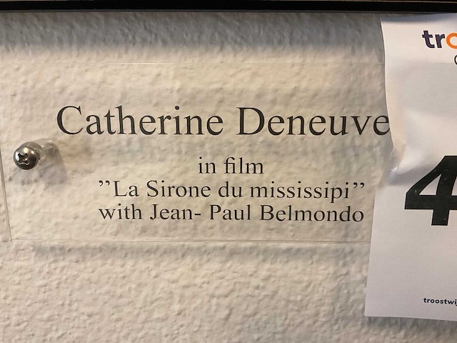 Catherine deneuve wanddecoratie (3x) - afbeelding 4 van  5