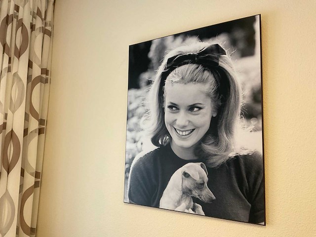 Catherine deneuve wanddecoratie (3x) - afbeelding 5 van  5