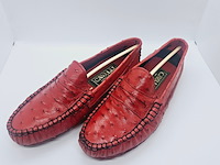 Cavalli struisvogel leren damesschoenen - maat 36