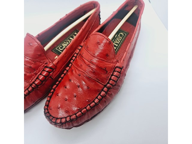 Cavalli struisvogel leren damesschoenen - maat 36 - afbeelding 3 van  9