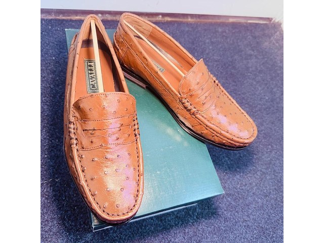 Cavalli struisvogel leren herenschoenen - maat 8 - afbeelding 1 van  6