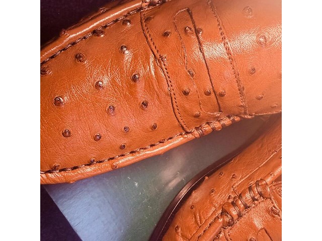 Cavalli struisvogel leren herenschoenen - maat 8 - afbeelding 4 van  6