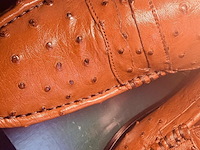 Cavalli struisvogel leren herenschoenen - maat 8 - afbeelding 4 van  6