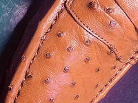 Cavalli struisvogel leren herenschoenen - maat 8 - afbeelding 5 van  6