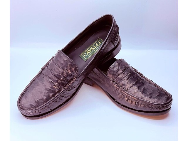 Cavalli struisvogel leren schoenen - maat 41 - afbeelding 1 van  11