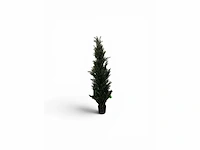 Cedar uv beschermend voor buiten kunstplant, conifeer (15x) - afbeelding 2 van  8