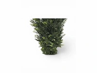 Cedar uv beschermend voor buiten kunstplant, conifeer (15x) - afbeelding 6 van  8