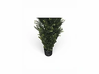 Cedar uv beschermend voor buiten kunstplant, conifeer (25x) - afbeelding 8 van  8