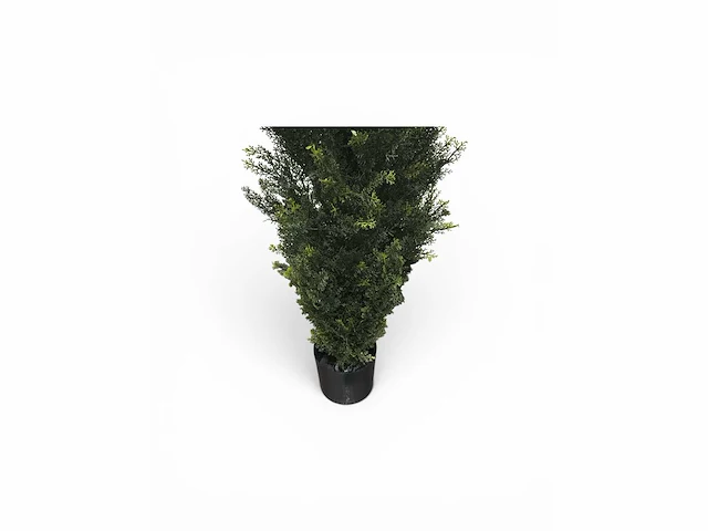 Cedar uv beschermend voor buiten kunstplant, conifeer (4x) - afbeelding 8 van  8