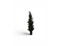 Cedar uv beschermend voor buiten kunstplant, conifeer (50x) - afbeelding 1 van  7