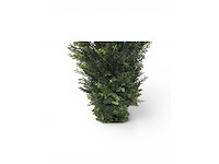 Cedar uv beschermend voor buiten kunstplant, conifeer (50x) - afbeelding 3 van  7