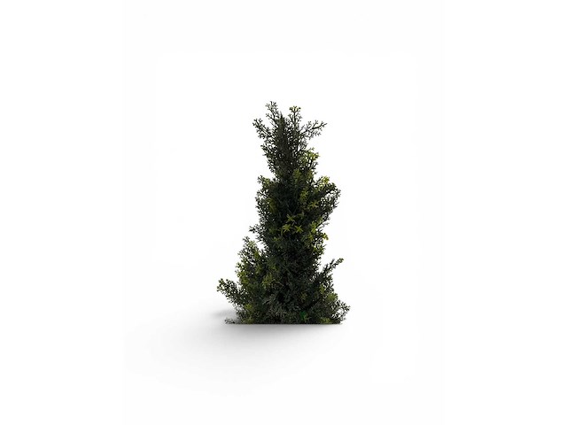 Cedar uv beschermend voor buiten kunstplant, conifeer (50x) - afbeelding 4 van  7