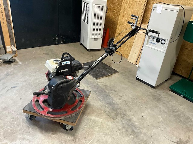 Cementvlinder - afbeelding 1 van  5