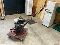 Cementvlinder - afbeelding 1 van  5