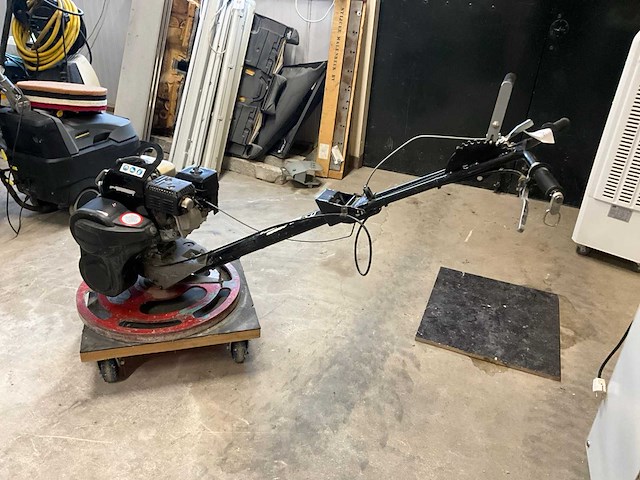 Cementvlinder - afbeelding 2 van  5