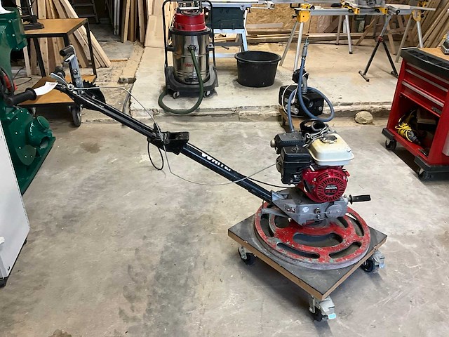 Cementvlinder - afbeelding 3 van  5