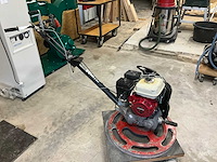 Cementvlinder - afbeelding 4 van  5