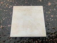 Cerabati gres emaille - 10 x 10cm - 20 m2 - partij wandtegels - afbeelding 1 van  4