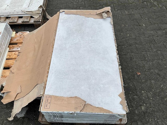 Ceramichepiemme - unique silver nat - 60 x 120 cm - 21m2 vloertegel - afbeelding 4 van  4