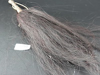 Ceremoniële afrikaanse vliegenmepper - afbeelding 4 van  5