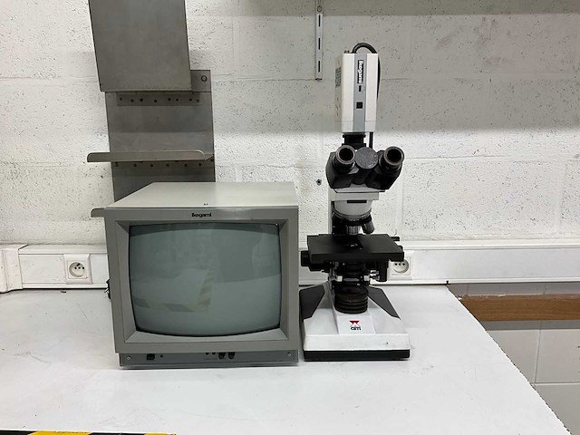 Ceti topic-t trinoculaire stereo microscoop met ikegami icd-47e camera en crt-monitor - afbeelding 2 van  9