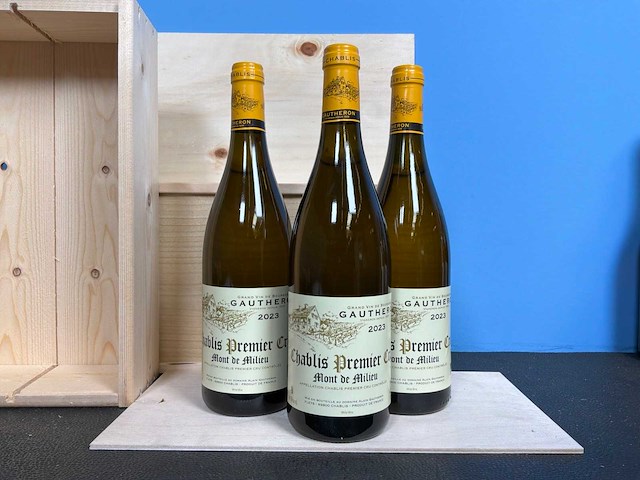 Chablis 1er cru ‘mont de milieu’ alain gautheron chardonnay witte wijn 2023 (3x) - afbeelding 1 van  2