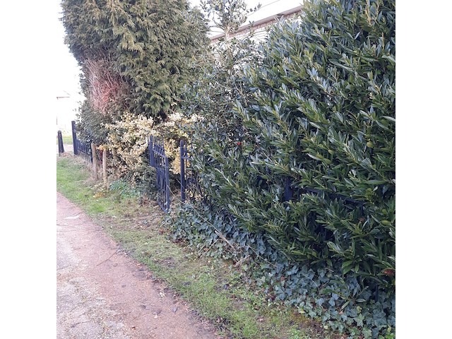 Chalet - afbeelding 92 van  93