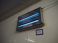 Chameleon - afbeelding 1 van  3