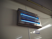 Chameleon - afbeelding 2 van  3