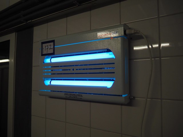 Chameleon - afbeelding 2 van  3