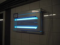 Chameleon - afbeelding 2 van  3