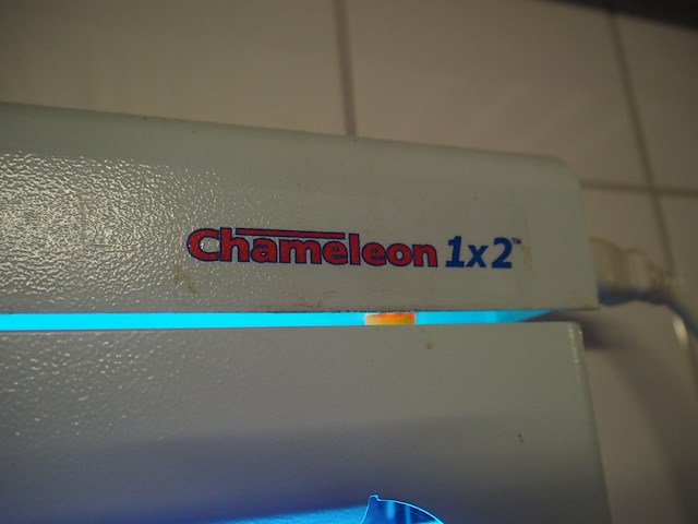 Chameleon - afbeelding 3 van  3