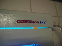 Chameleon - afbeelding 3 van  3