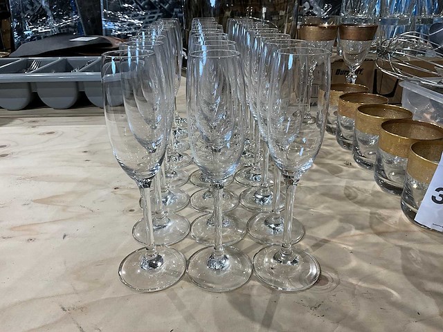Champagneglas (24x) - afbeelding 1 van  1