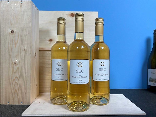 Chateau closiot bordeaux witte wijn 2023 (3x) - afbeelding 1 van  3