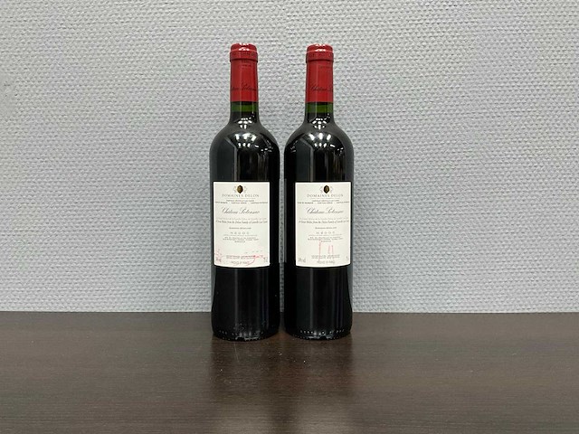 Château potensac haut medoc 2019 (2x) - afbeelding 2 van  3