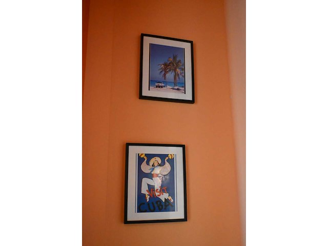 Che guavara o.a. - decoratiemateriaal (4x) - afbeelding 3 van  4