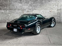 Chevrolet corvette sport coupe 2-door 5.7 v8 190pk 1981 - afbeelding 5 van  45