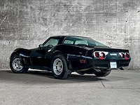 Chevrolet corvette sport coupe 2-door 5.7 v8 190pk 1981 - afbeelding 10 van  45