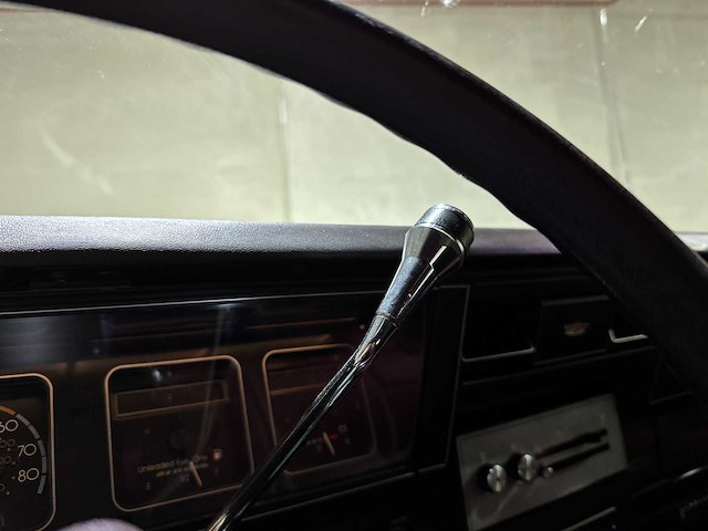 Chevrolet usa caprice 5.0 brougham 163pk 1986, 21-lzg-9 - afbeelding 19 van  41