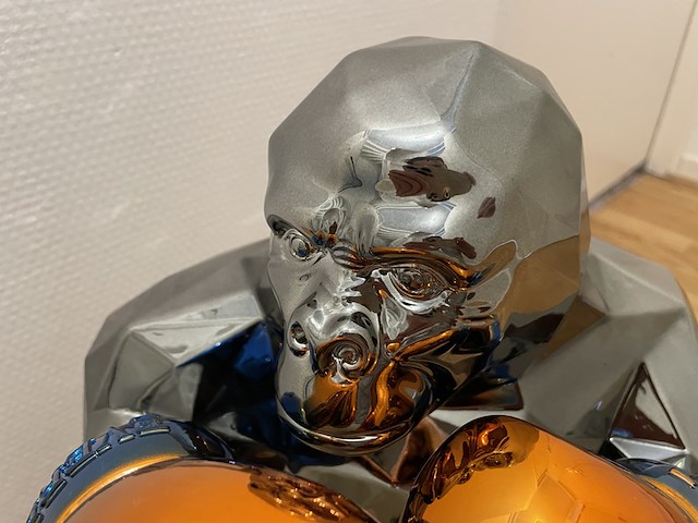 Chrome gorilla boxer, lior24, everlast - afbeelding 3 van  11