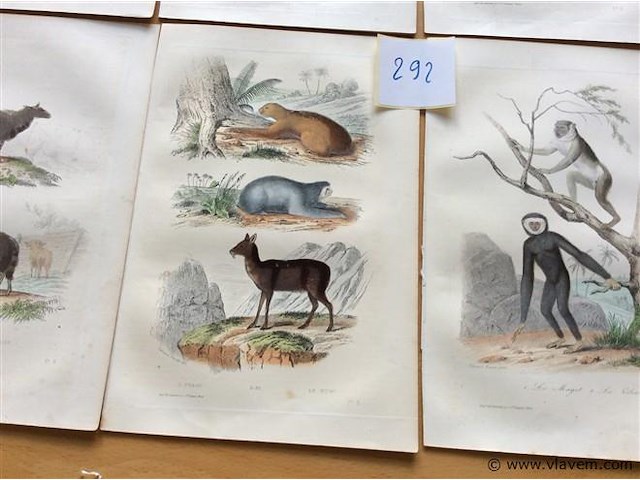Chroom litho dieren - afbeelding 3 van  3