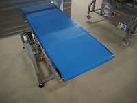 Cintex - afbeelding 10 van  14