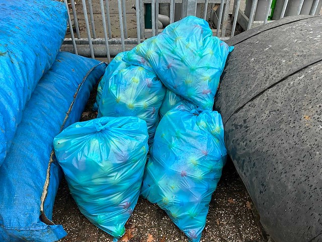 Circus time springkussen - afbeelding 6 van  8