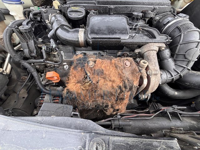 Citroen c3 1.4 hdi exclusive, 2008 - afbeelding 24 van  33